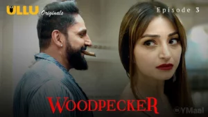 Woodpecker Episode 3